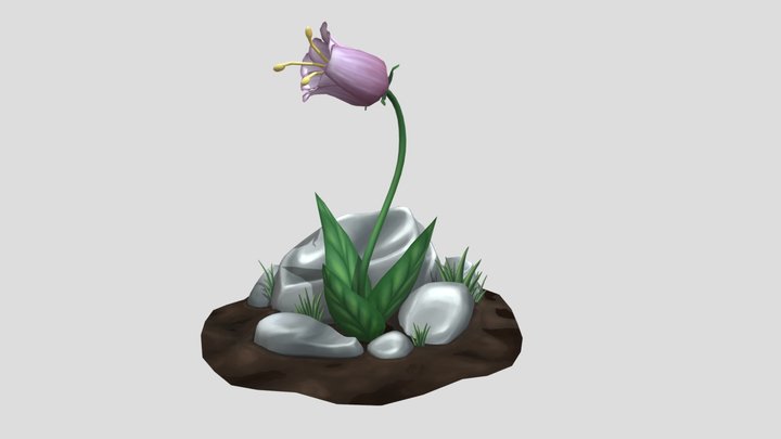 Flower and Stone 3D Model