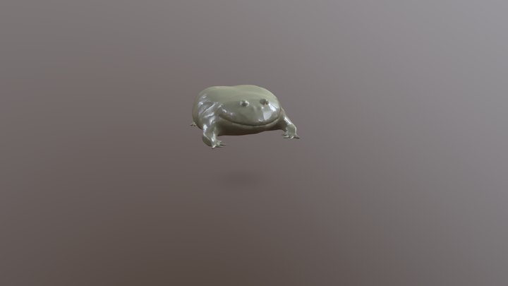 weird frog what 3D Model