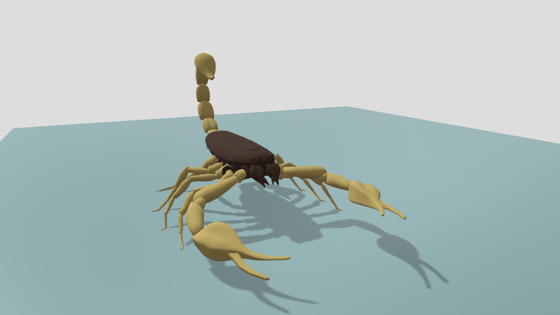 Scorpio 3d Model By Katiekrafter Ddebf5a Sketchfab 6951