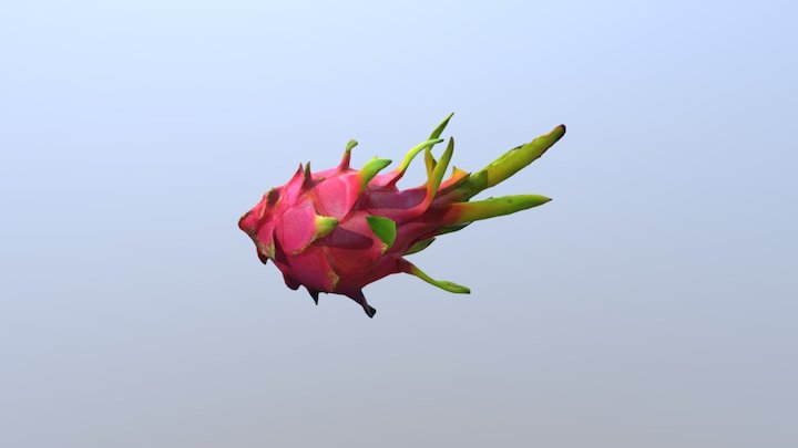 火龙果 3D Model