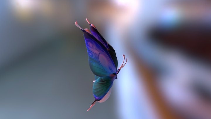 butterfly 3D Model