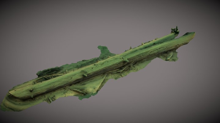 1st Tree from mountain lake Tatra National Park 3D Model