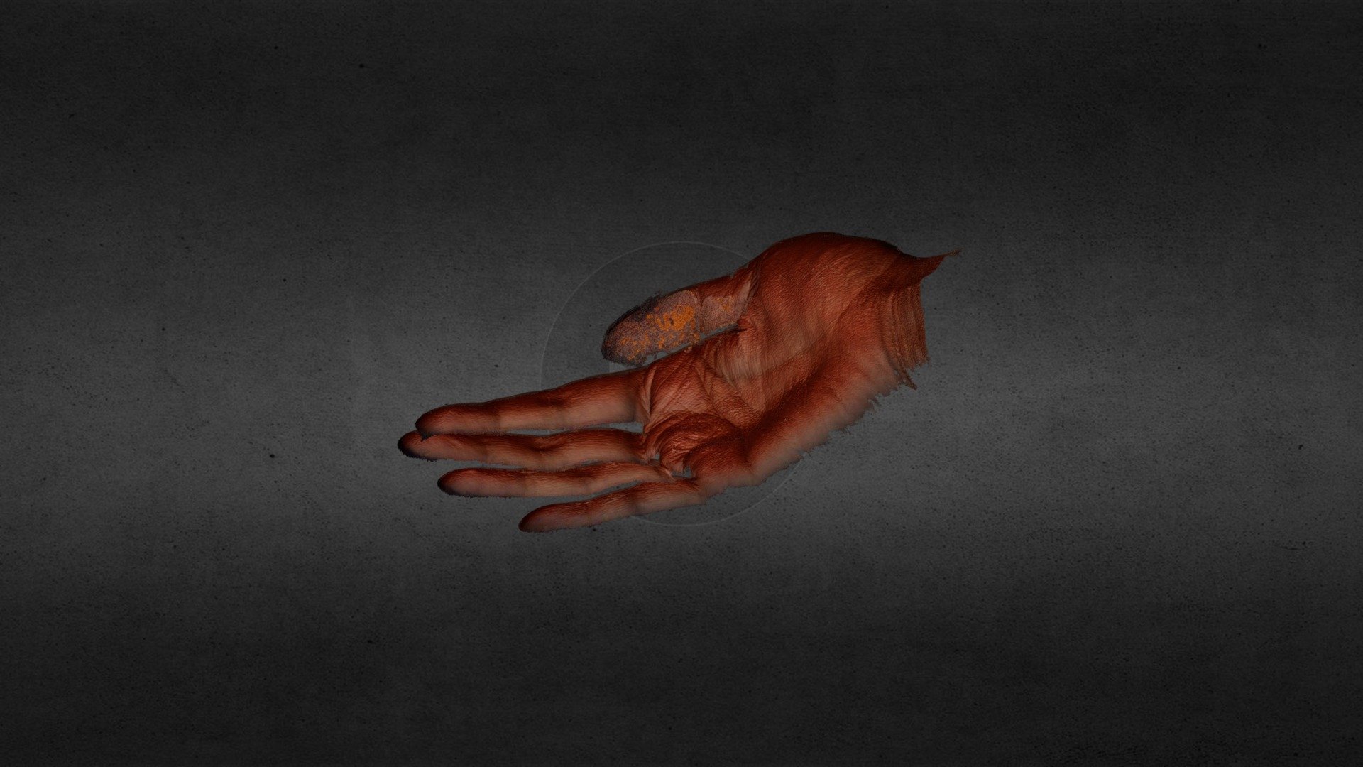 hands