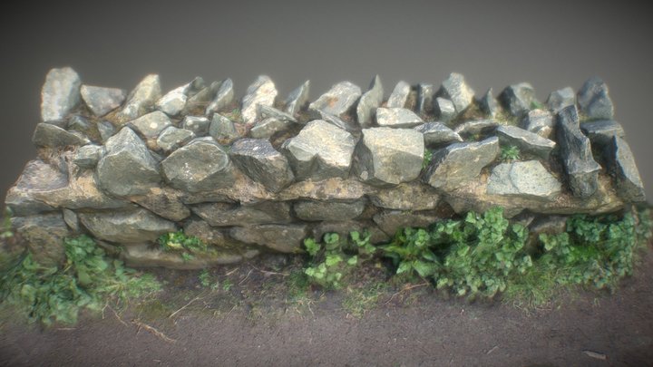 Bog Meadows 3D Model