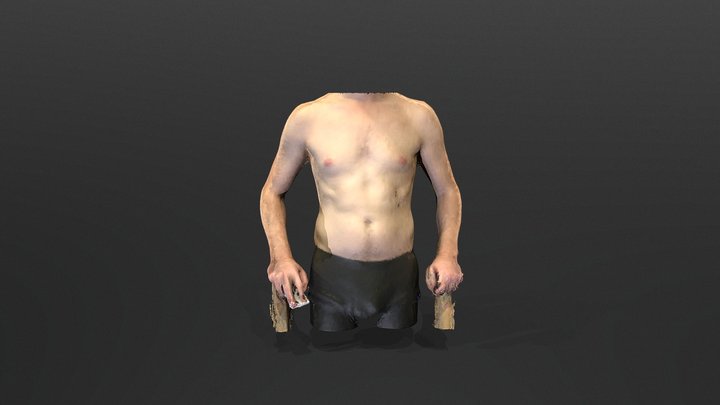 Full torso scan – Modello 3D gratuito STL