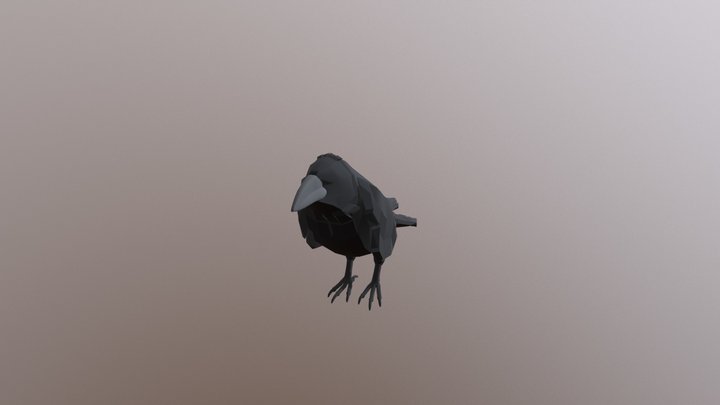 Bord 3D Model