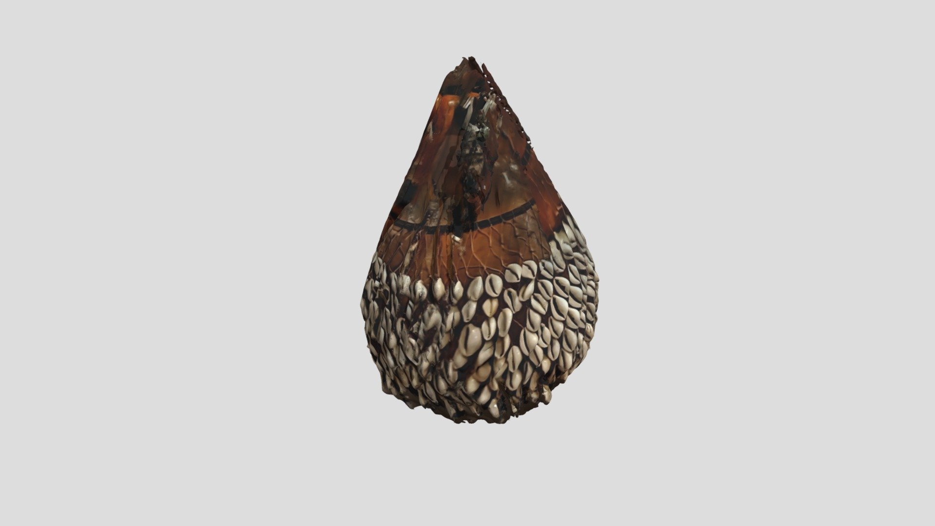 African Shekere (Gourd Instrument)