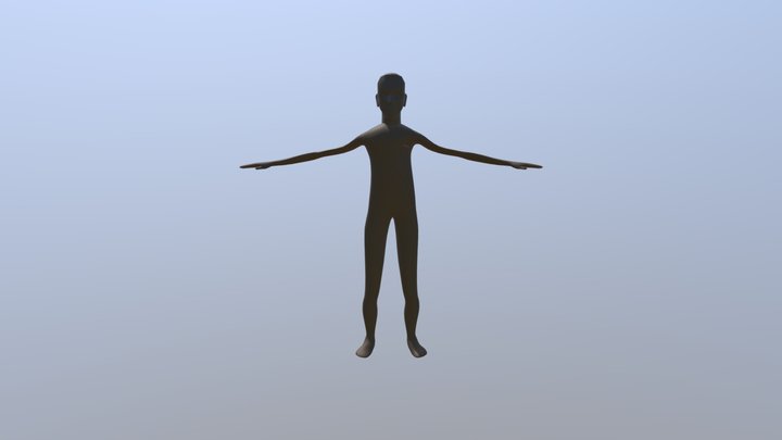 My model 3D Model