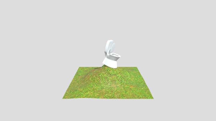 toilet on hill 3D Model