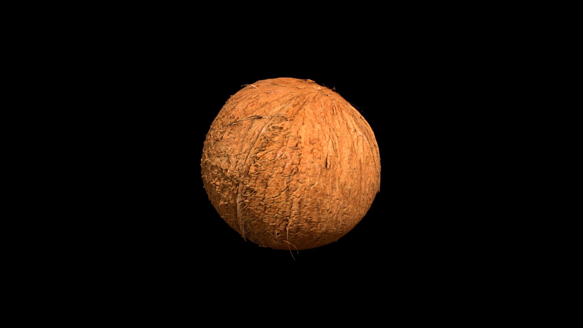 Coco Low - 3D model by marccarreres19 [de09955] - Sketchfab