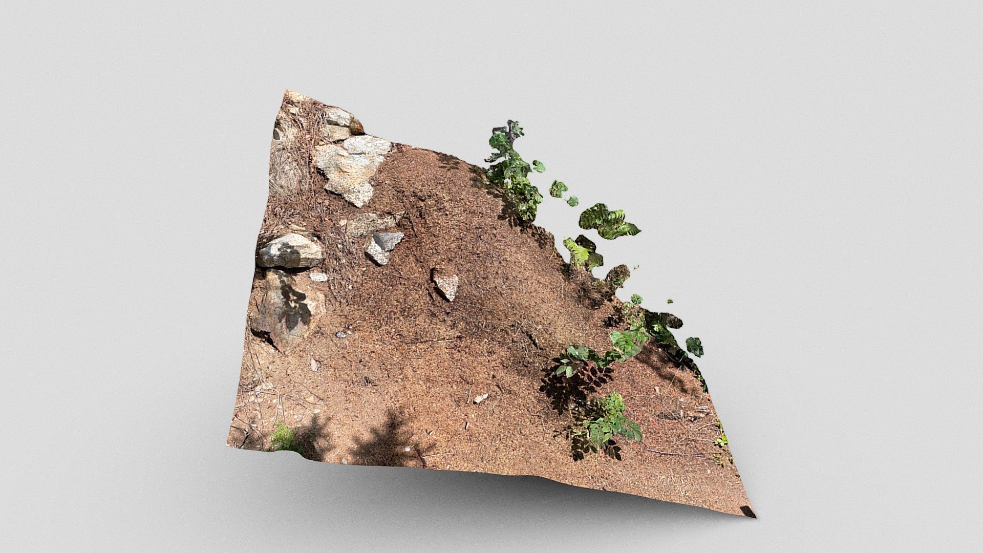 Anthill