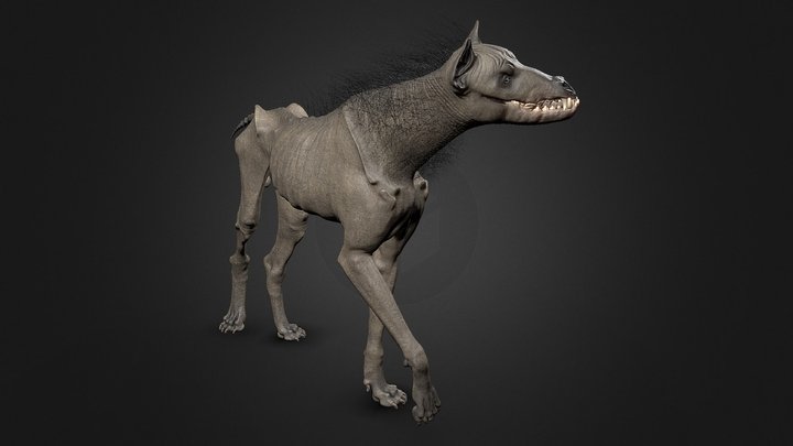 My Fictitious Creature 1 3D Model