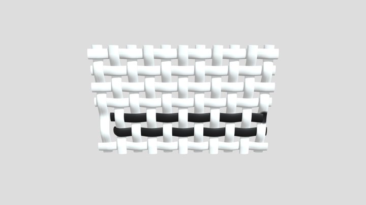 Worng Passe 3D Model