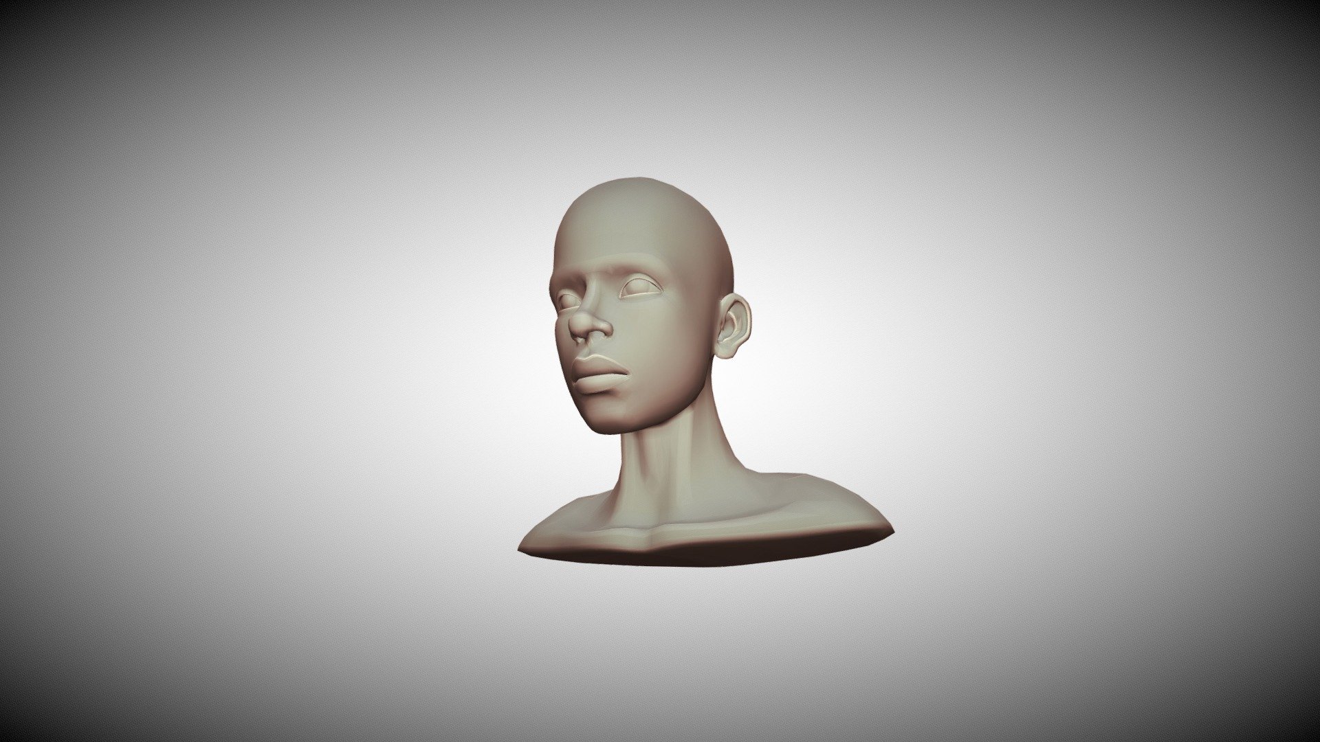 3D head topology reference