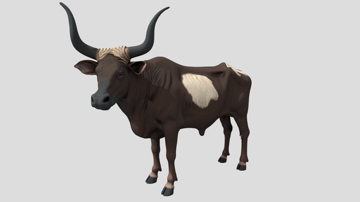 Ankole-Watusi cow – Modello 3D gratuito STL
