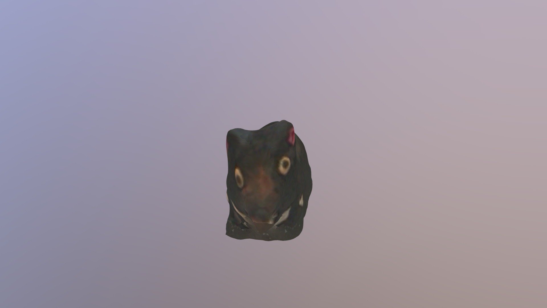 Ďábel medvědovitý