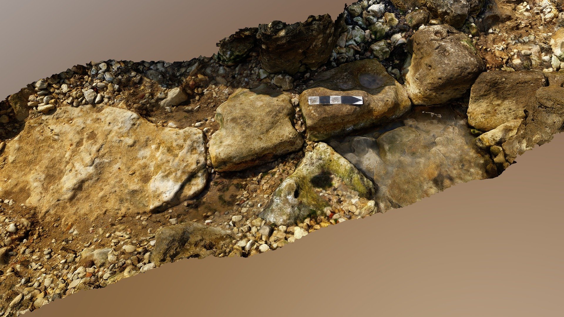 WB - 3D model by ks700 [de1bd8e] - Sketchfab