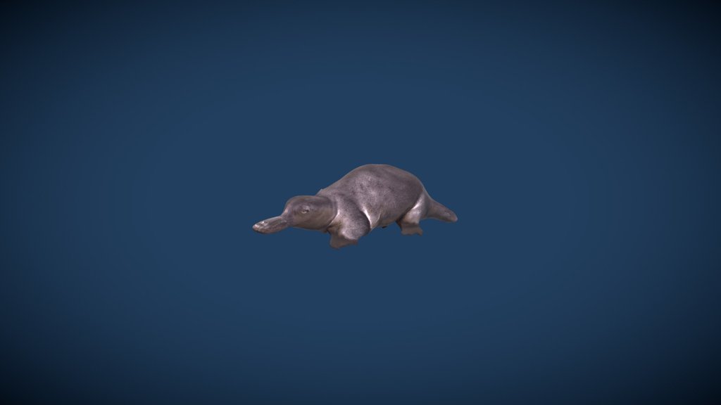 Platypus (Request Animations) Delete tomorrow.