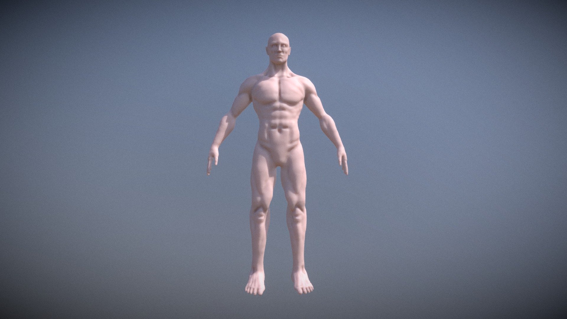 Male basemesh