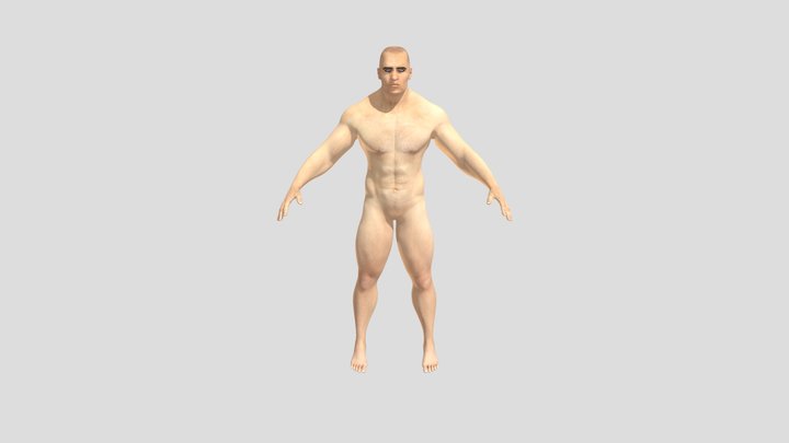 Human 3D Model