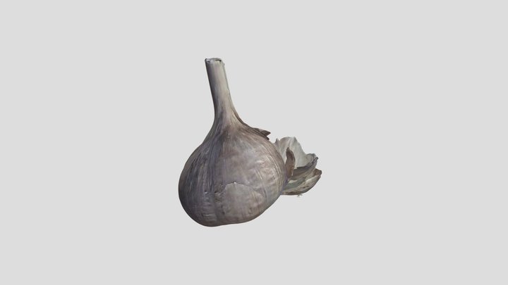 Garlic with the insides removed 3D Model