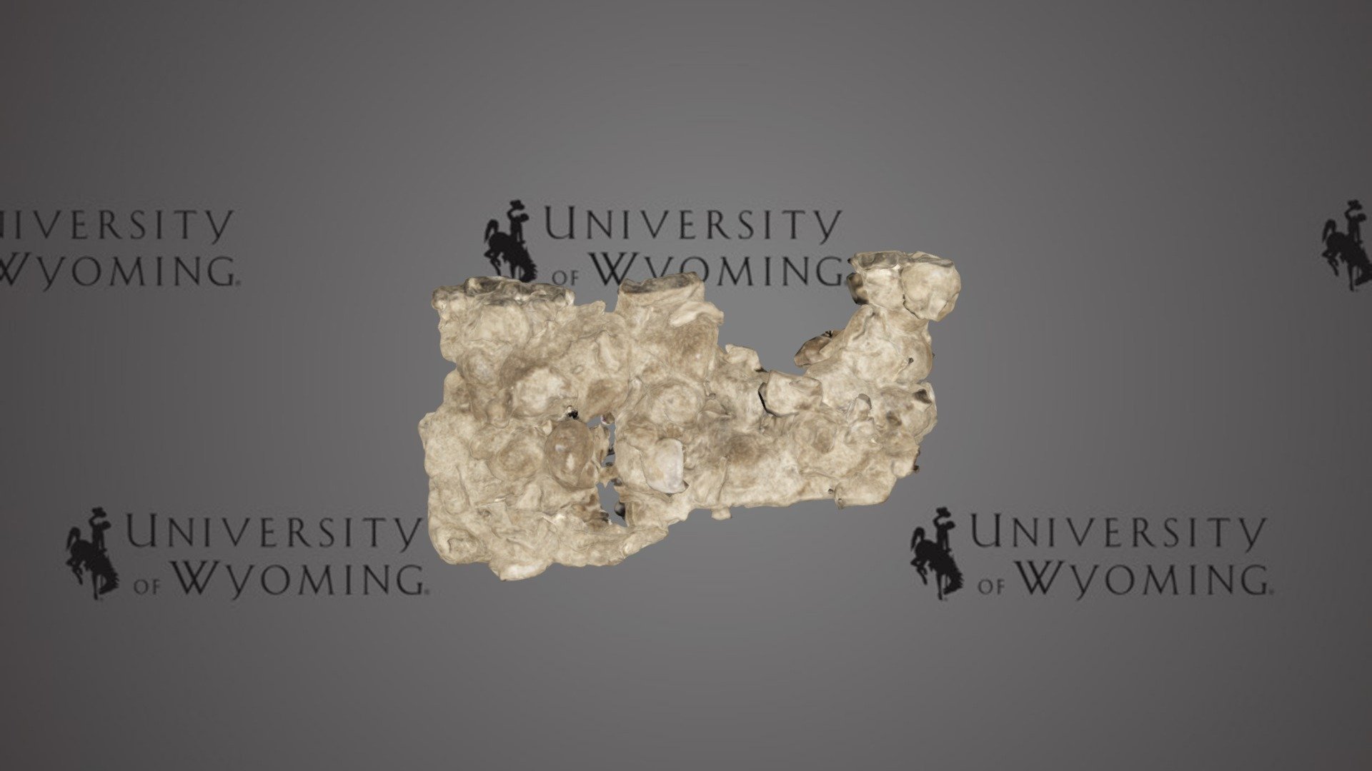 UWG B8722