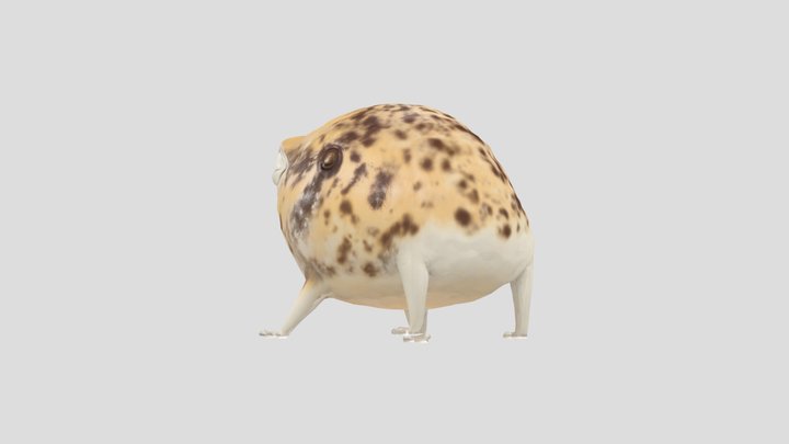 rain Frog 2 3D Model