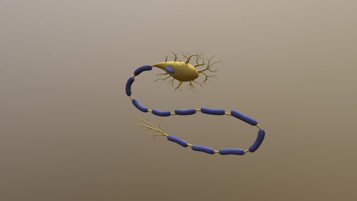 NEURON4 3D Model