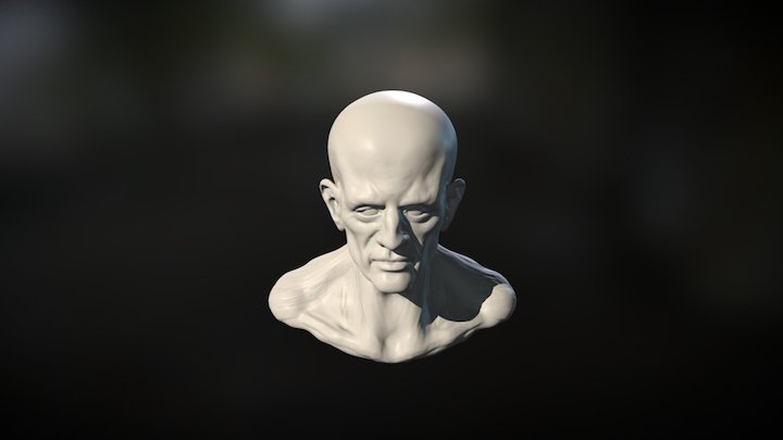 Old Dude Head 3D Model