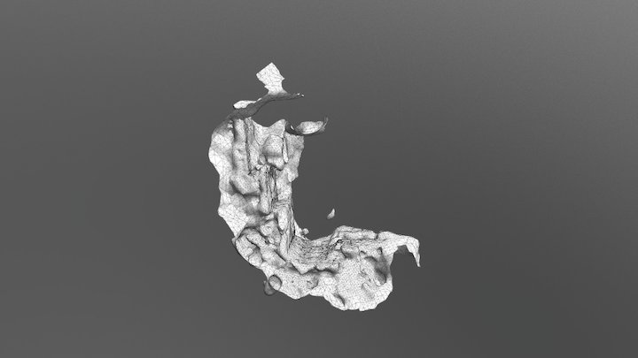 ДУОv1 3D Model