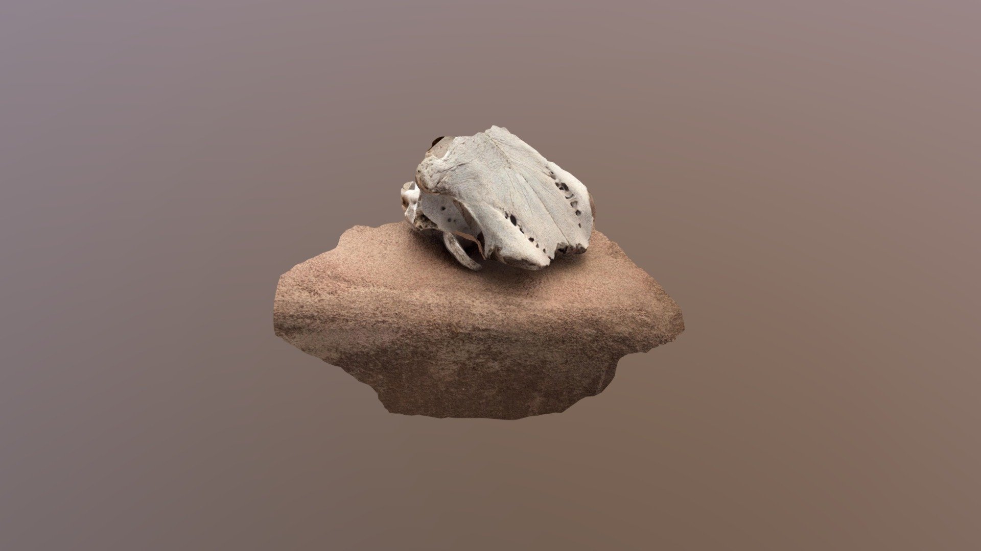 ghost ranch 14