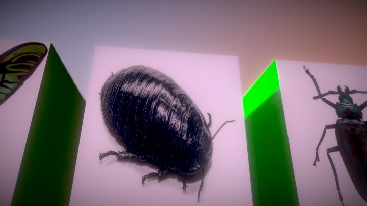 Mybiggestbugs 3D Model