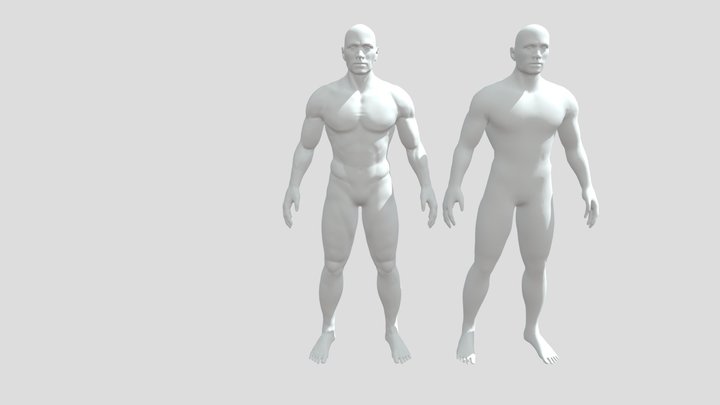Body Anatomy / Topology study 3D Model