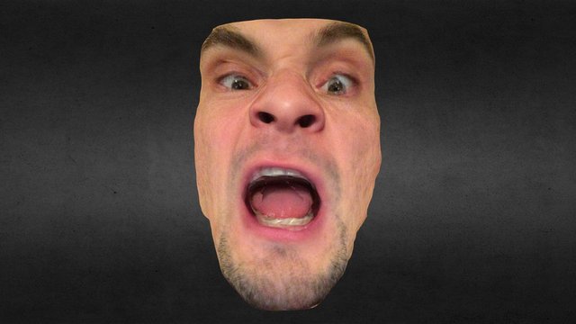 Having fun with Seene's Facescan 3D Model