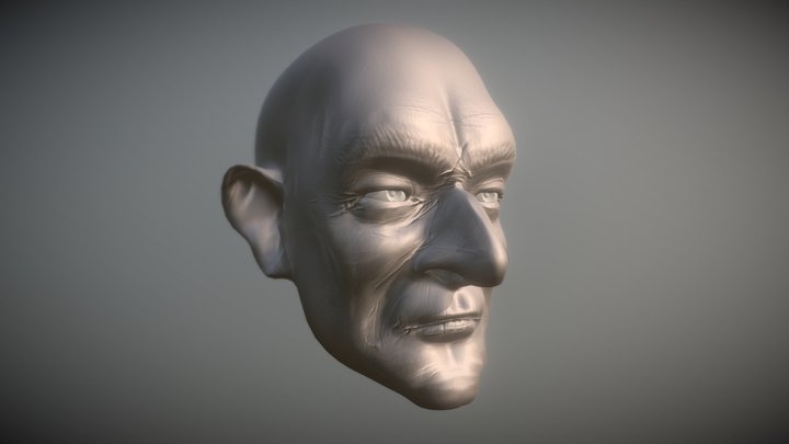Head Sketch 3D Model
