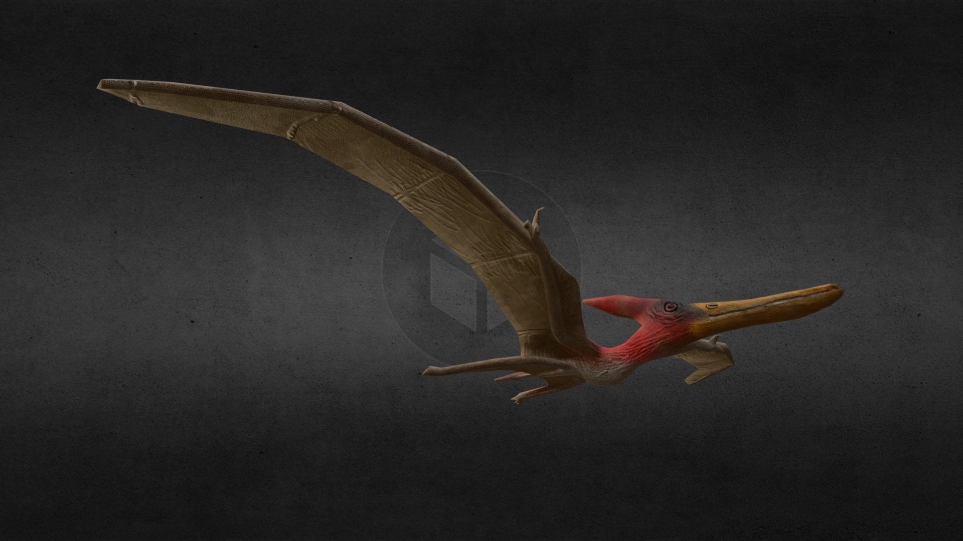 Pteranodon - 3D model by Muhammad Ari Kurniawan (@Etzian) [de31b43 ...