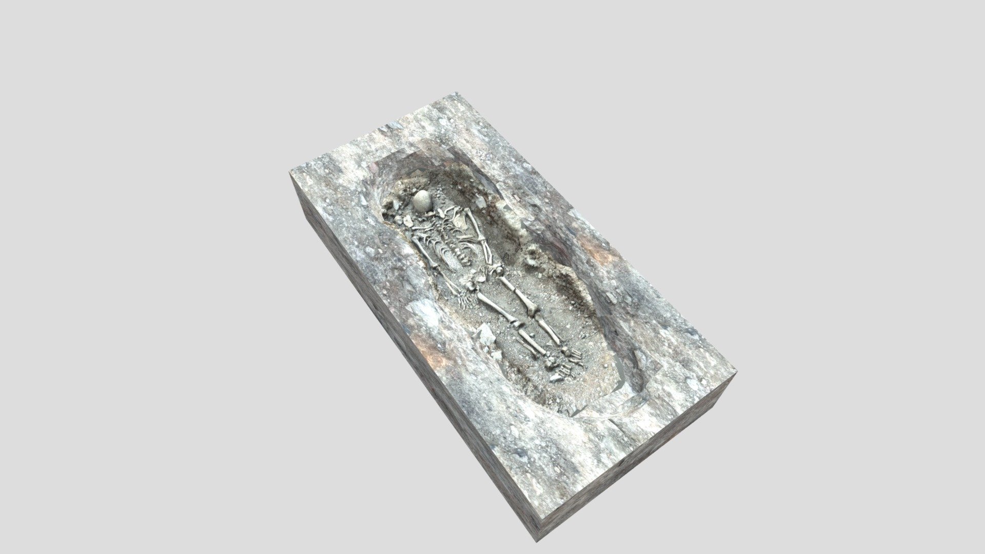 Sépulture 12 Musée Archéologie SaintLaurent Download Free 3D model