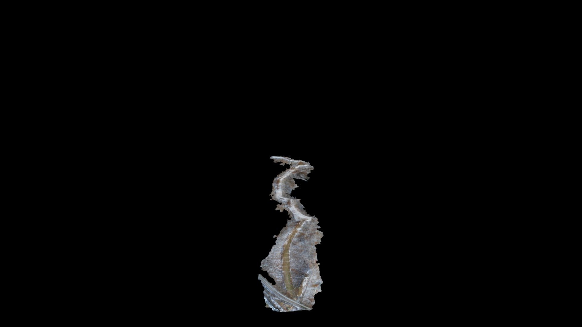 022_MVP_Flt211_RGB_20191113