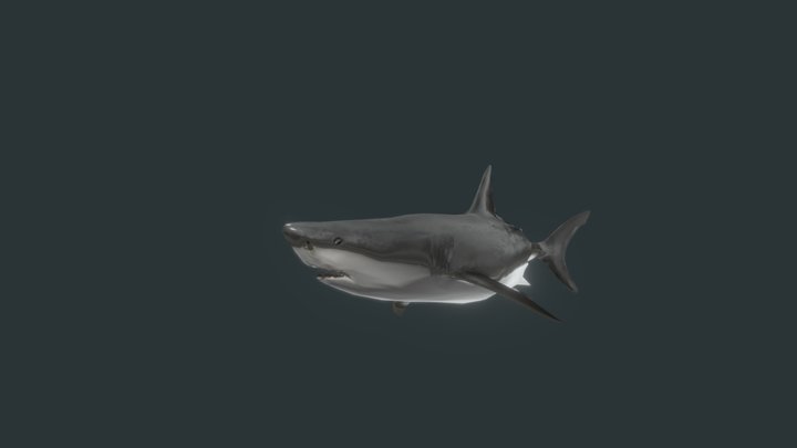 Swim Cycle_aggresive_24frames_001 3D Model