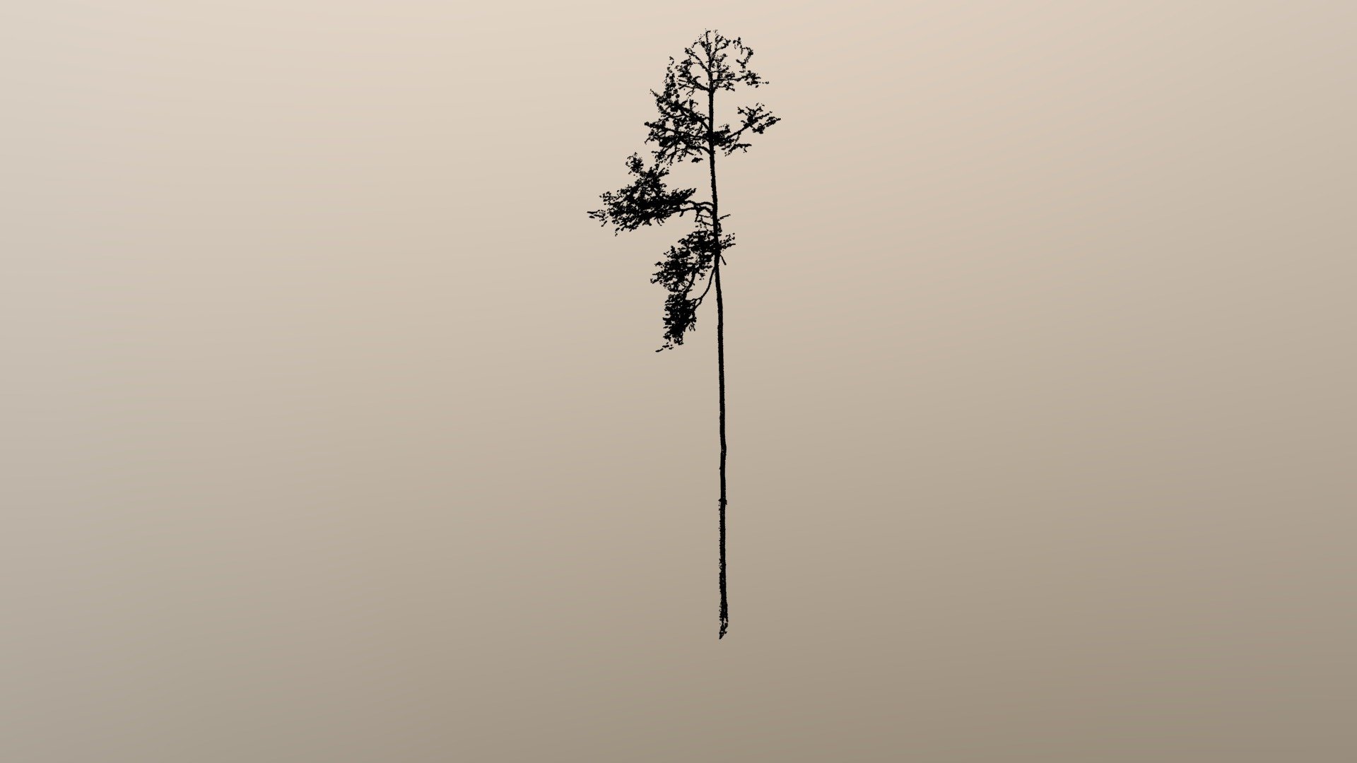 tree_78.las