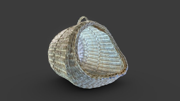 48 3D Model
