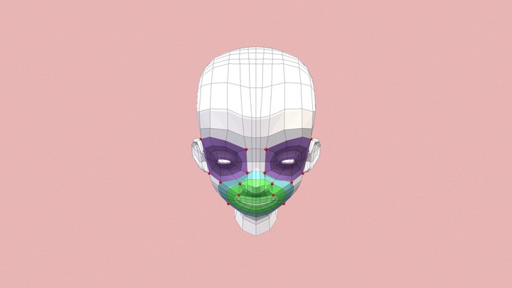 Face Topology 3D Model