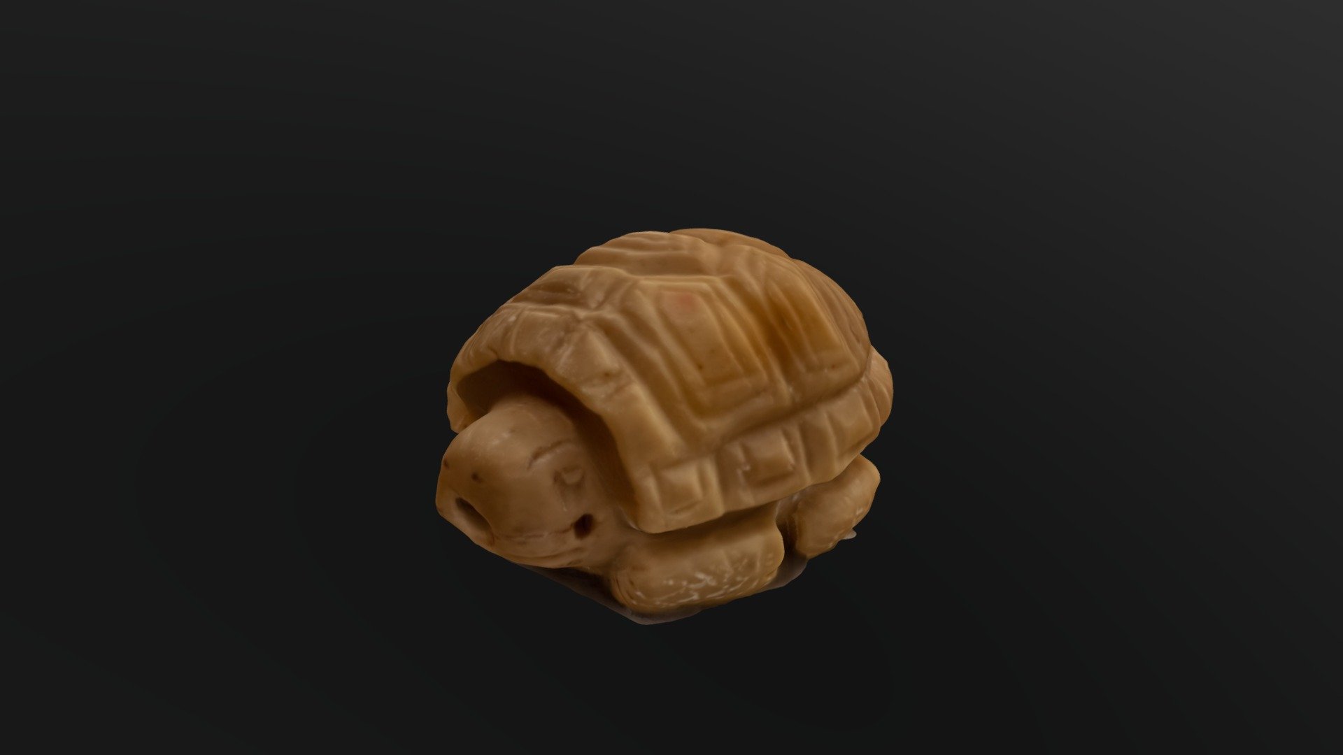 Carved Turtle