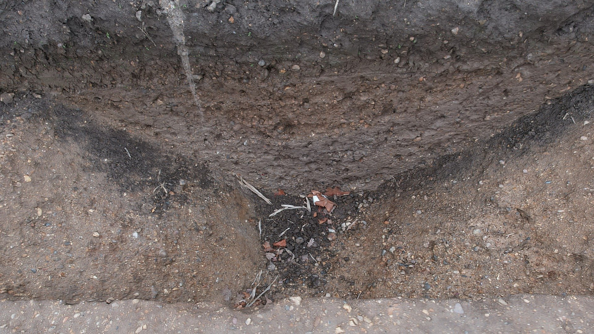 Heybridge ditch section 4