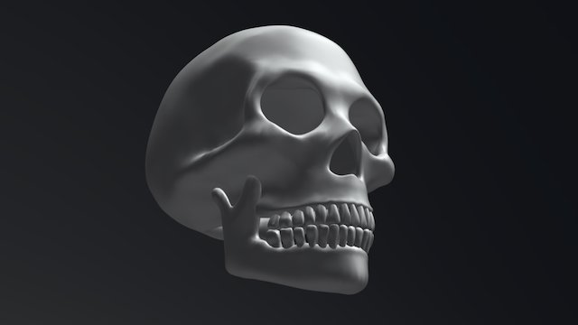 Skull 3D Model