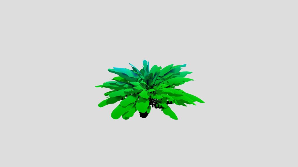 Palm Tree Small Bush