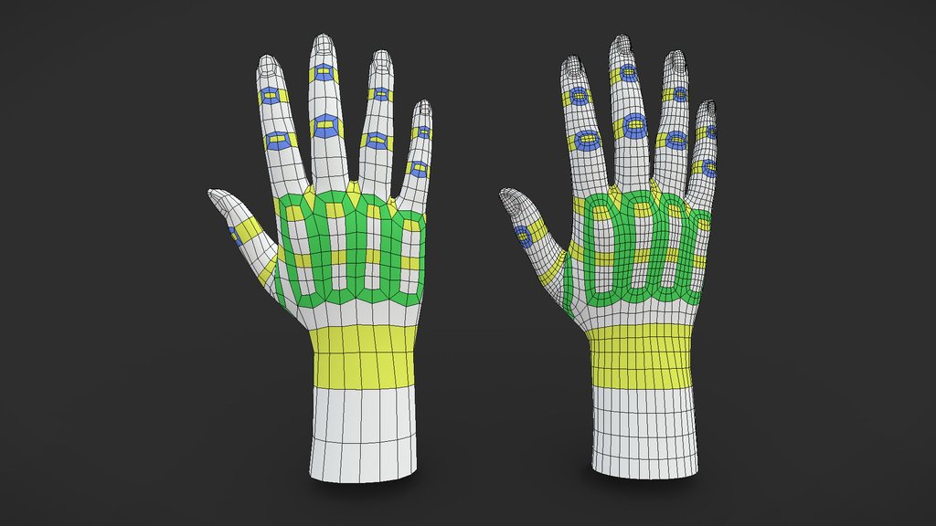 Hand Topology Study