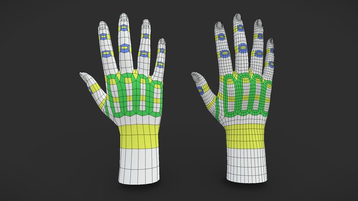 Hand Topology Study 3D Model