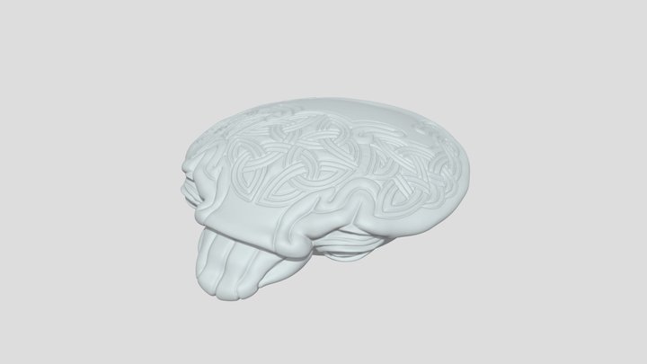 Sitting Dwarf_ Lid 3D Model