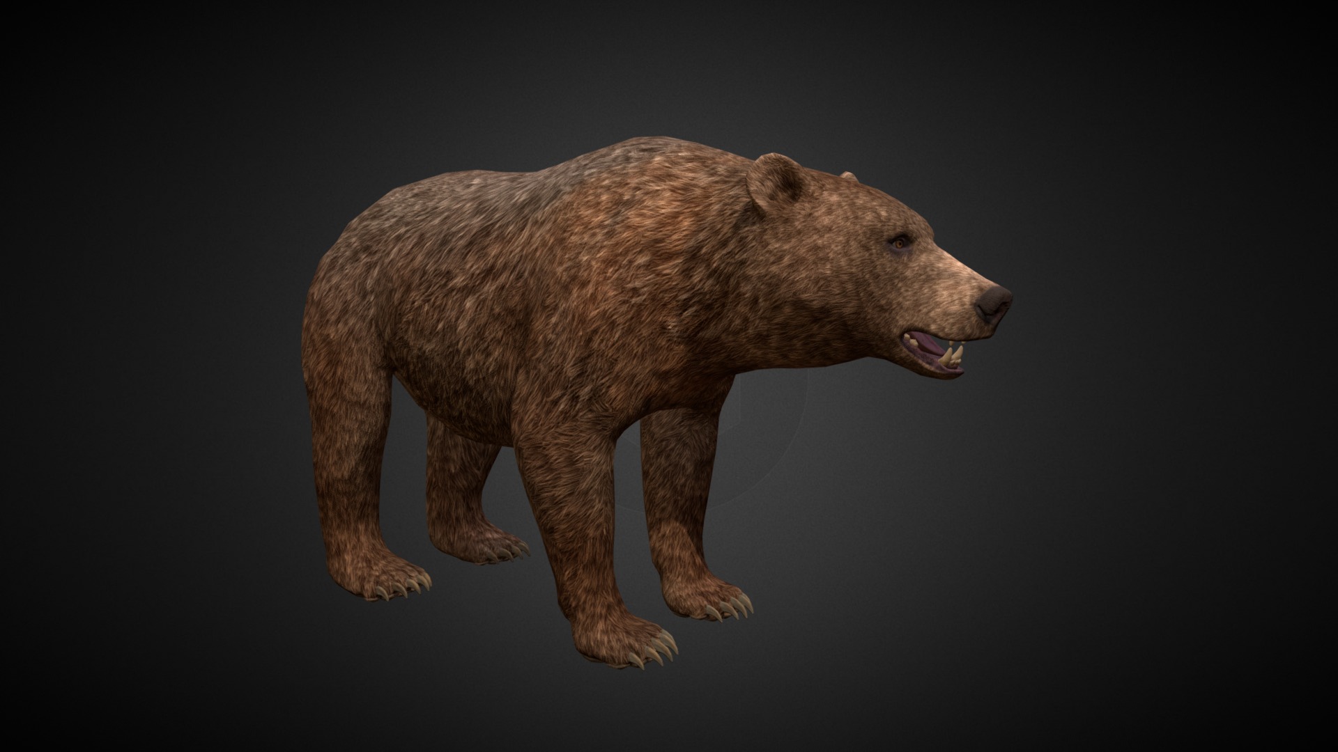 3D model 3D Brown Bear - This is a 3D model of the 3D Brown Bear. The 3D model is about a brown bear with its mouth open.